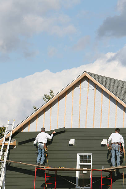 Best Hoarding Cleanup  in Brandenburg, KY